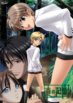Mori no Kioku Mori no Kioku